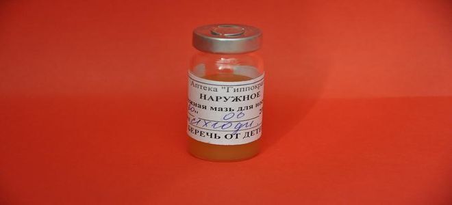 чем намазать нос чтобы не заразиться коронавирусом. Смотреть фото чем намазать нос чтобы не заразиться коронавирусом. Смотреть картинку чем намазать нос чтобы не заразиться коронавирусом. Картинка про чем намазать нос чтобы не заразиться коронавирусом. Фото чем намазать нос чтобы не заразиться коронавирусом
