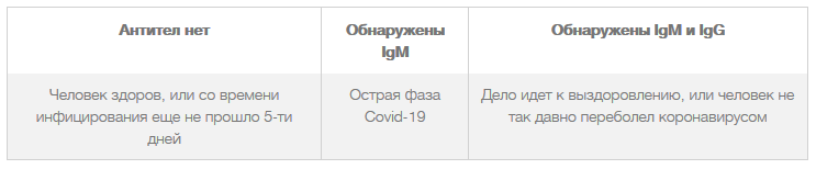 Антитела долго сохраняются. Как долго в крови сохраняются антитела.