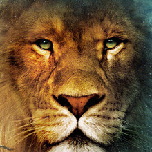 Станислав, г. Москва