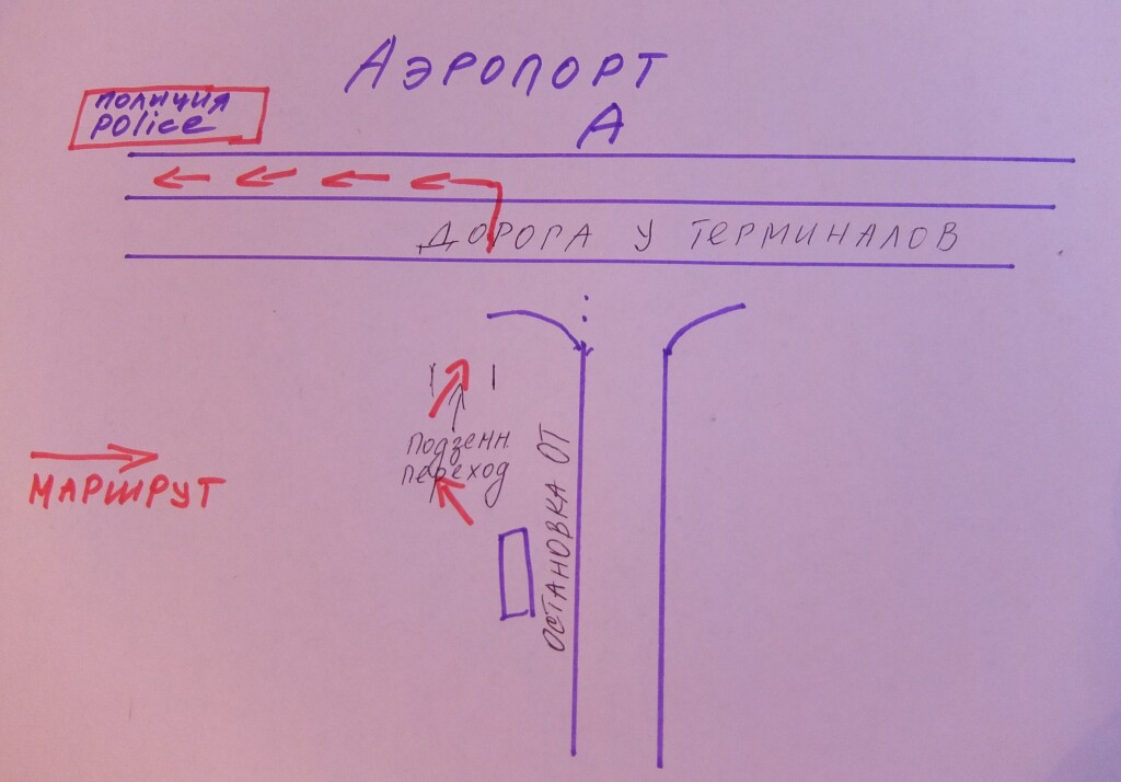 Проверяют ли qr код в аэропорту