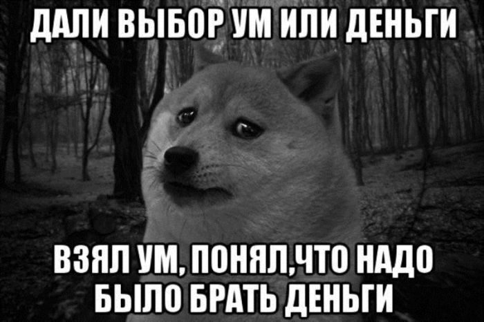Мемы в картинках с надписями