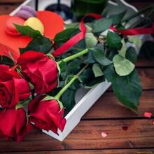 Надежда, г. Краснодар