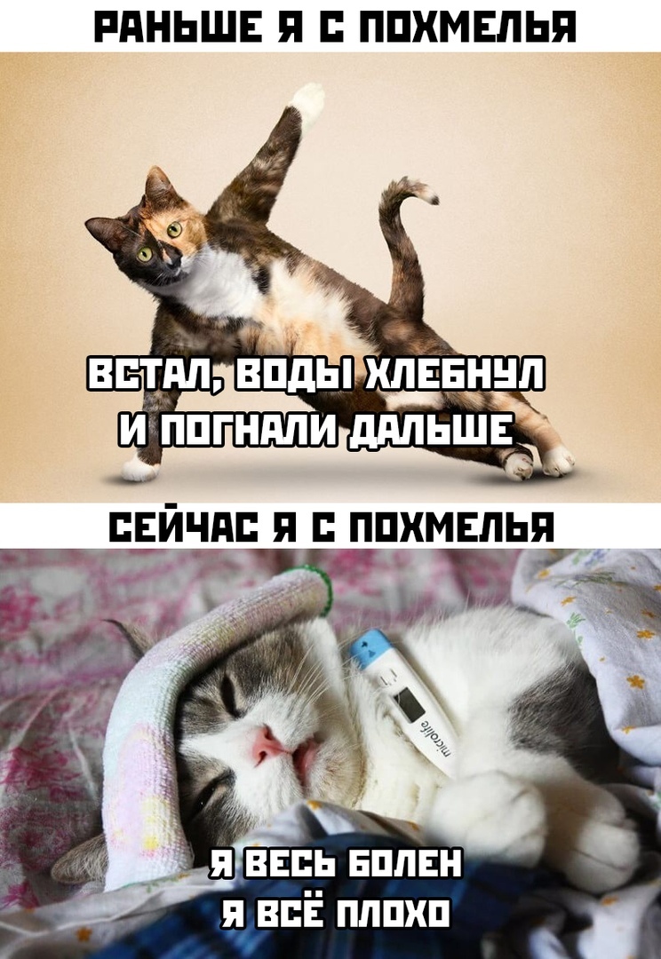 Мем похмелье