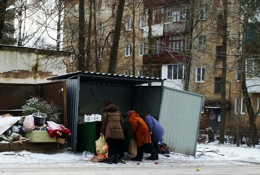 Интернет помойка. Пенсионеры в мусорных Баках.