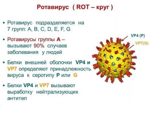 Как отличить ротавирус от панкреатита thumbnail