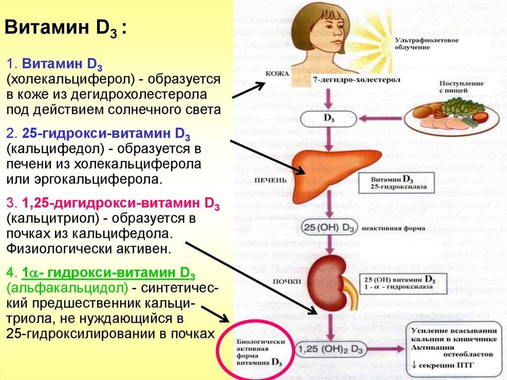 Схема лечения дефицита витамина д