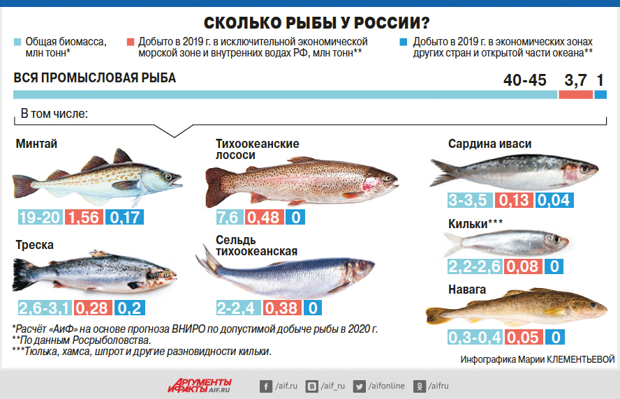 После обеда марат наловила на 2 рыбы меньше чем до обеда