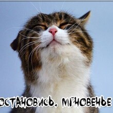 Елена Дмитриевна, г. Челябинск