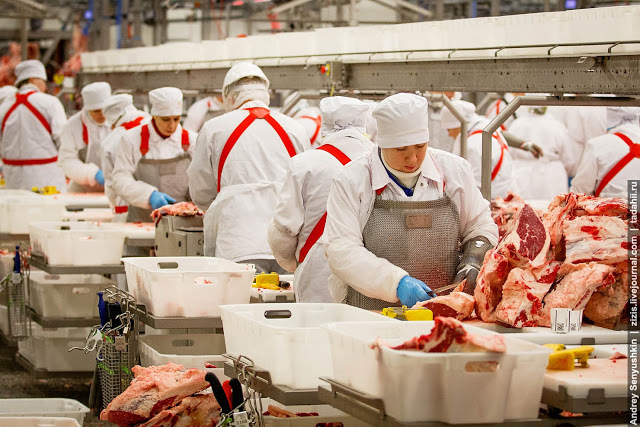 что такое продукт глубокой переработки. bcccfc58f14968a83e7dfa2e8d0341c6. что такое продукт глубокой переработки фото. что такое продукт глубокой переработки-bcccfc58f14968a83e7dfa2e8d0341c6. картинка что такое продукт глубокой переработки. картинка bcccfc58f14968a83e7dfa2e8d0341c6. Продукты глубокой переработки – это большинство полуфабрикатов и некоторый фастфуд: наггетсы, сухие готовые завтраки, шоколад, колбаса, газированная вода, пицца и мороженое.