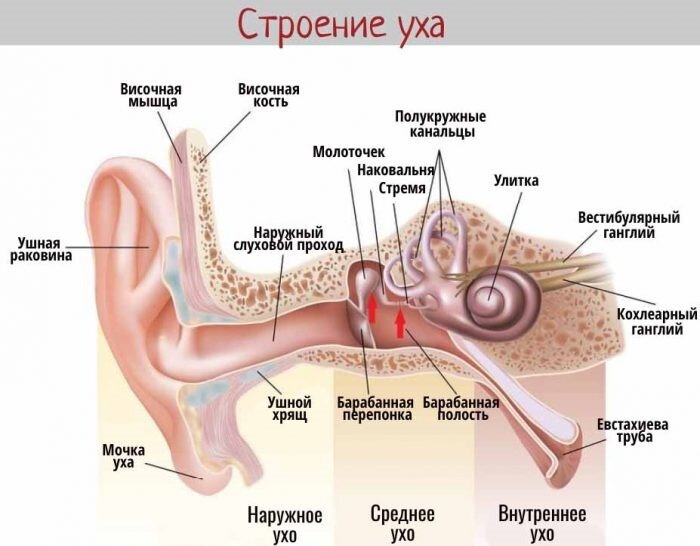 боль в ухе при коронавирусе чем лечить. Смотреть фото боль в ухе при коронавирусе чем лечить. Смотреть картинку боль в ухе при коронавирусе чем лечить. Картинка про боль в ухе при коронавирусе чем лечить. Фото боль в ухе при коронавирусе чем лечить