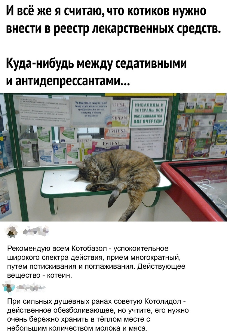 Успокоительные смешные картинки