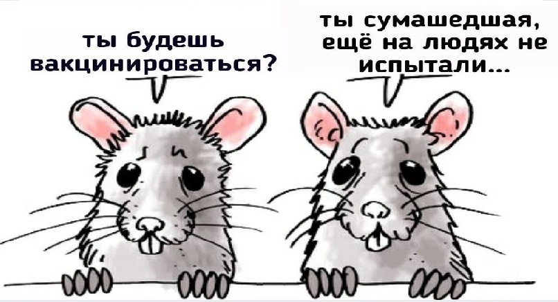гарантийное письмо на прививку образец. гарантийное письмо на прививку образец фото. картинка гарантийное письмо на прививку образец. смотреть фото гарантийное письмо на прививку образец. смотреть картинку гарантийное письмо на прививку образец.