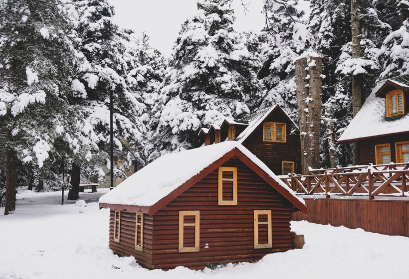 В России может появиться ипотека на деревянные дома