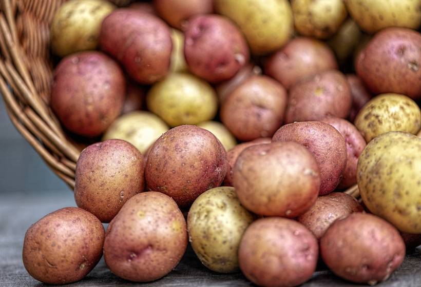 В российских магазинах может появиться картошка экономкласса