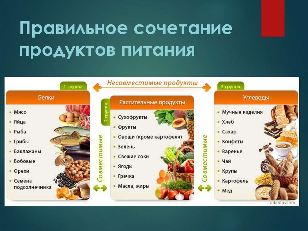 Можно ли есть вместе. Совместимые и несовместимые продукты питания таблица. Белки жиры углеводы в продуктах питания таблица. Таблица белков и углеводов в продуктах для раздельного питания. Жиры углеводы белки таблица питание совместимости продуктов.