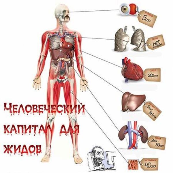 Проект о донорстве органов частей органов человека и их трансплантации