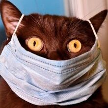 Федор.Ю, г. Красноярск