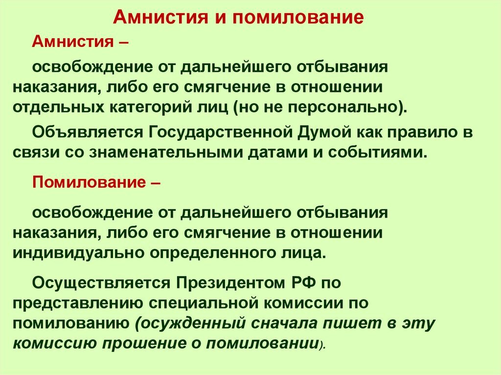 Проект амнистия и помилование