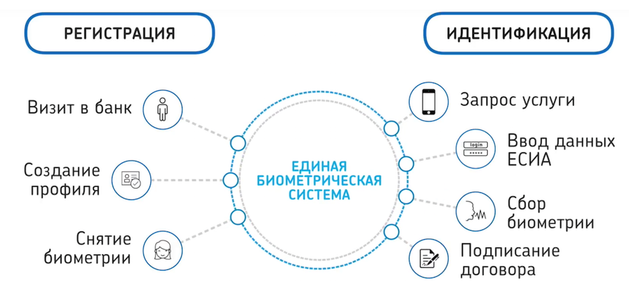 Что такое единая биометрическая система. Единая биометрическая система. Удаленная идентификация. Единая биометрическая система (ЕБС).