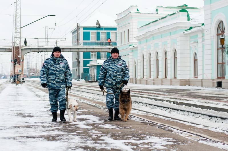 Транспортная полиция картинки