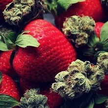 Елена, г. Ставрополь