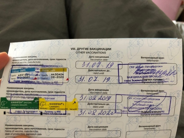 Какие документы нужны для поездки в казахстан. Сертификат прививок. Международный сертификат о вакцинации. Сертификат о вакцинации до аэропорта. Документ о вакцинации от коронавируса.