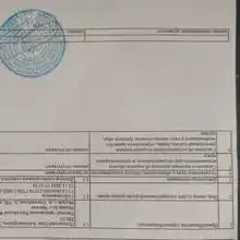 Юрист в единственном числе Боровинских Сергей Гульмуродович, г. Москва