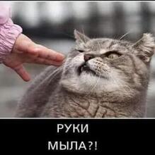 Наталья, г. Волгоград