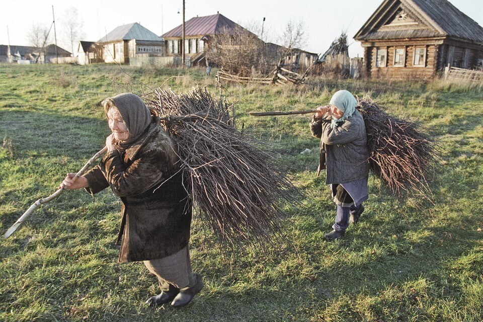 Бабушка собирает. Бабка с хворостом. Старушка с хворостом. Бабушка собирает валежник. Собирание валежника в России.