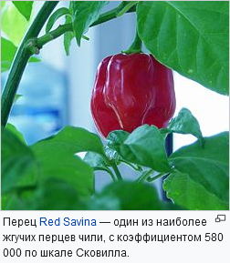 что дает остроту в перце. Смотреть фото что дает остроту в перце. Смотреть картинку что дает остроту в перце. Картинка про что дает остроту в перце. Фото что дает остроту в перце