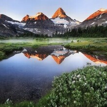 Мария Штеменко, г. Москва