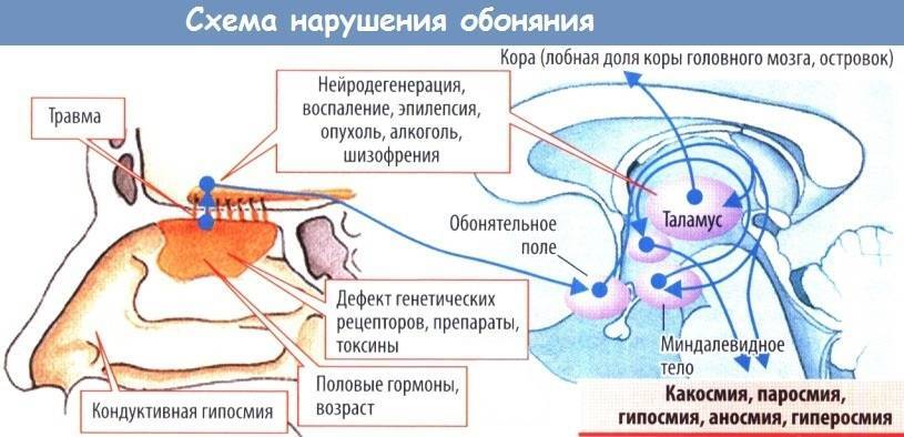 почему еда стала безвкусной. Смотреть фото почему еда стала безвкусной. Смотреть картинку почему еда стала безвкусной. Картинка про почему еда стала безвкусной. Фото почему еда стала безвкусной