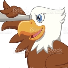 Елена Николаевна, г. Сочи