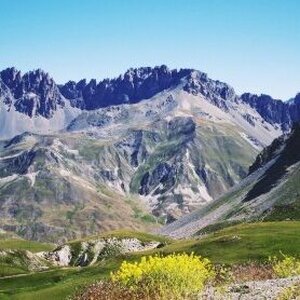 Газимагомедов Али Арсенович