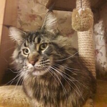 Галина У., г. Санкт-Петербург