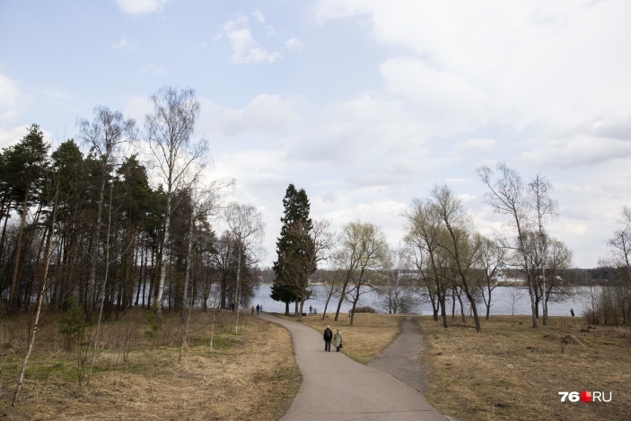 Павловский парк ярославль фото Проблемы городов России :в Ярославле в Павловской роще построят автомобильную па