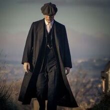 Давид, г. Краснодар