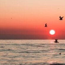 Денис, г. Барнаул