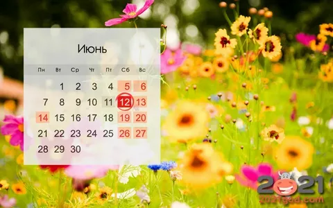 Выходные и рабочие дни в июне 2021: производственный календарь