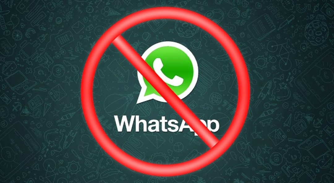 как узнать принял ли я новые правила whatsapp. 3d2063ce41ec8b57fdc78e380c1f0f28. как узнать принял ли я новые правила whatsapp фото. как узнать принял ли я новые правила whatsapp-3d2063ce41ec8b57fdc78e380c1f0f28. картинка как узнать принял ли я новые правила whatsapp. картинка 3d2063ce41ec8b57fdc78e380c1f0f28.