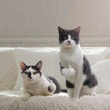 Афанасий, г. Махачкала