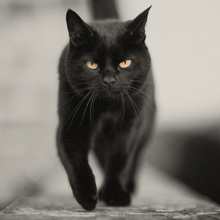 Ольга, г. Самара