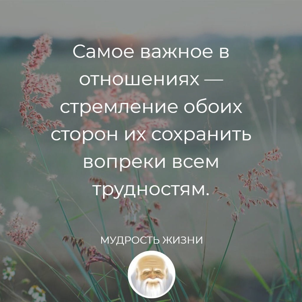мужчина и женщина любовь. отношения стремиться другой. высказывания про отношения. нежные чувства. счастливые влюбленные.