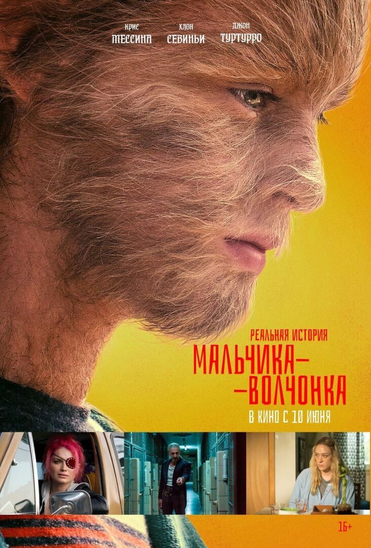 волчонок реальная история мальчик. Смотреть фото волчонок реальная история мальчик. Смотреть картинку волчонок реальная история мальчик. Картинка про волчонок реальная история мальчик. Фото волчонок реальная история мальчик