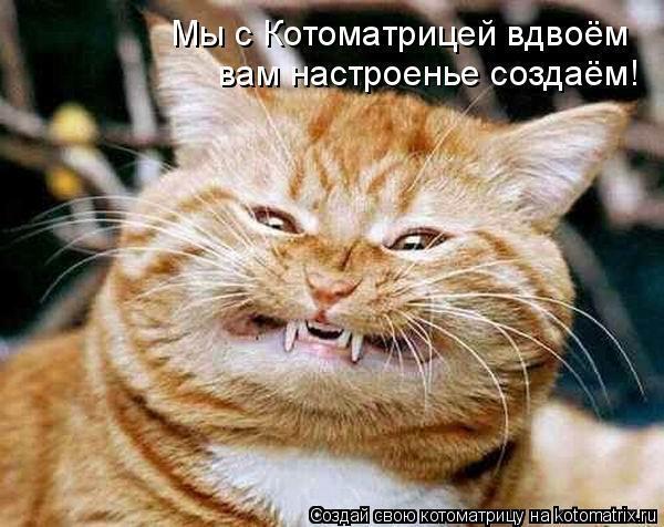 Без кошек жить нельзя на свете, нет!