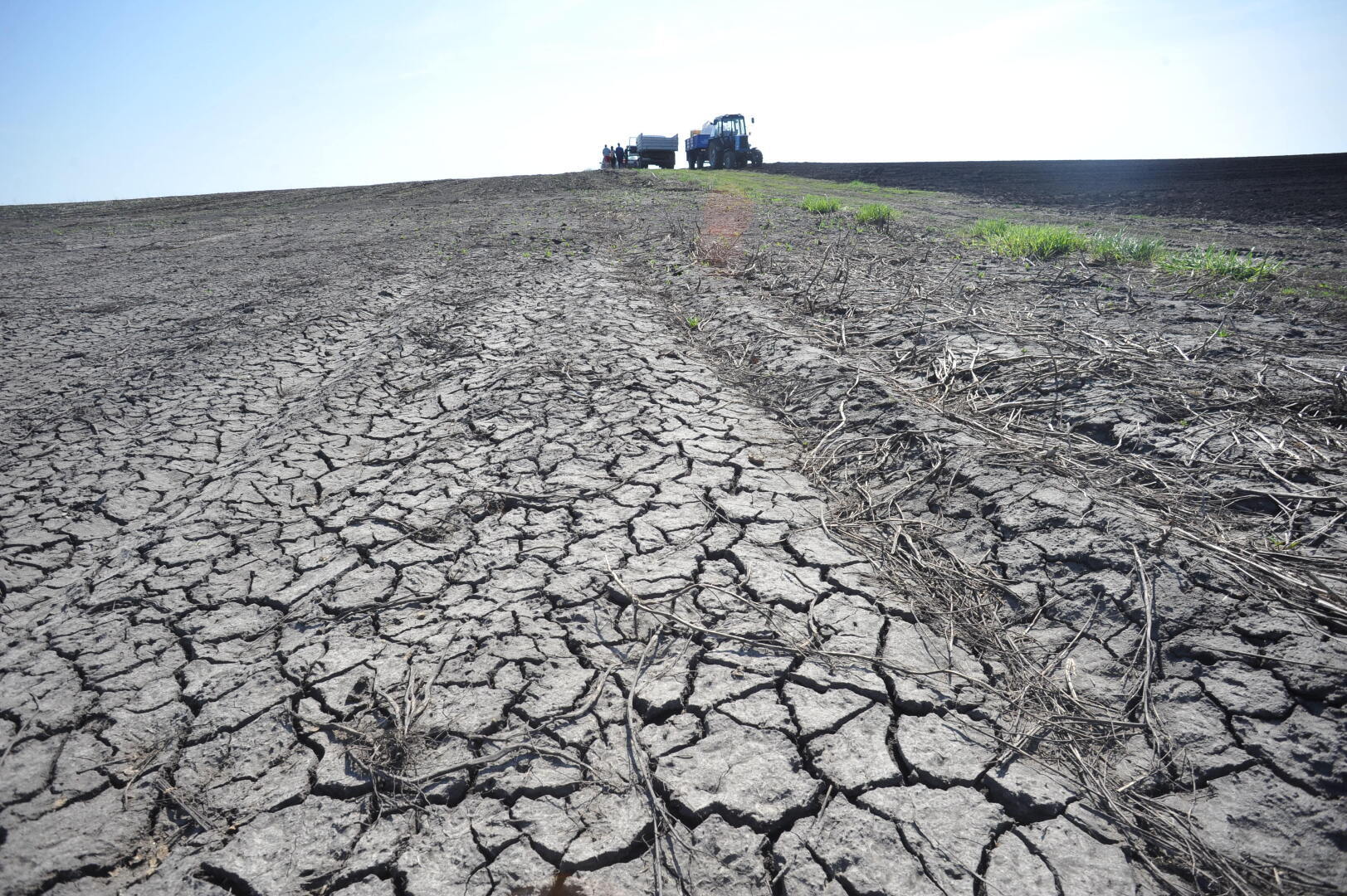Погода засуха. Засуха. Засуха в России. Засуха урожай. Засуха в сельском хозяйстве.
