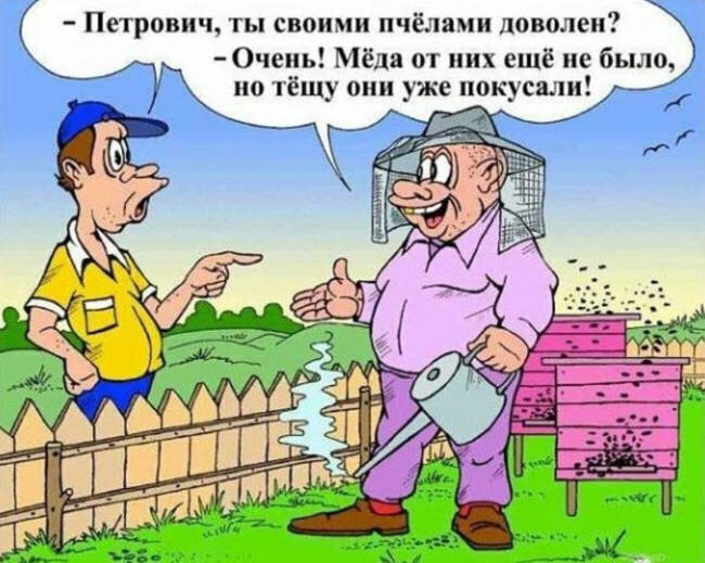 Картинки шутки про дачу