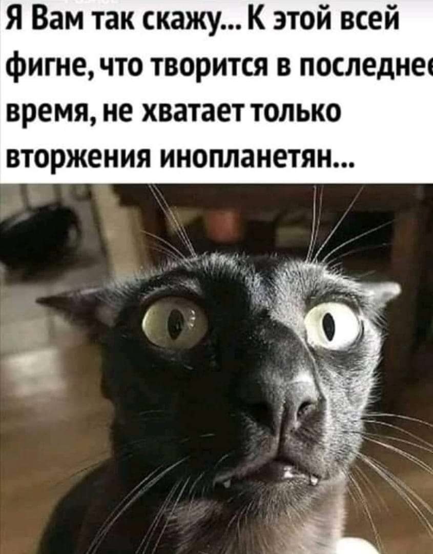 сделай подарок своей нервной системе включи пофигизм. Смотреть фото сделай подарок своей нервной системе включи пофигизм. Смотреть картинку сделай подарок своей нервной системе включи пофигизм. Картинка про сделай подарок своей нервной системе включи пофигизм. Фото сделай подарок своей нервной системе включи пофигизм