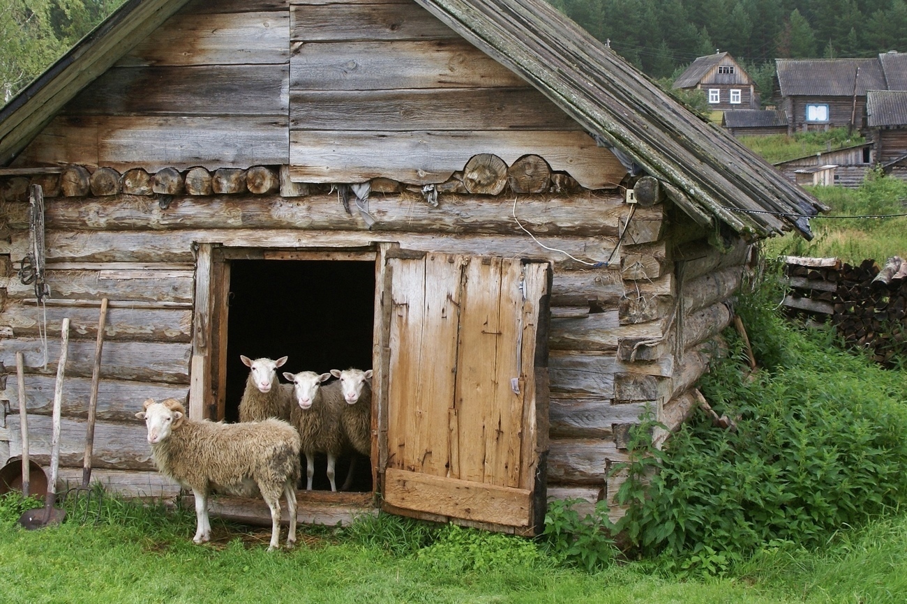 Сарай в деревне