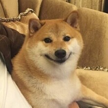 Александр, г. Санкт-Петербург